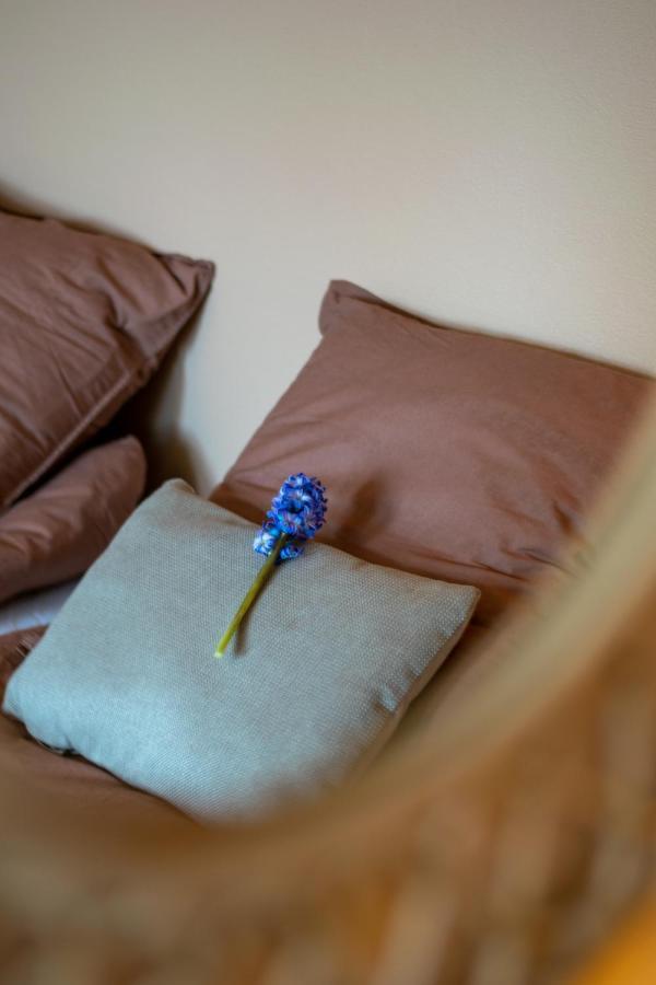 Mosters Bed & Breakfast Guldborg Esterno foto